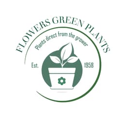 Flowers Green Plants