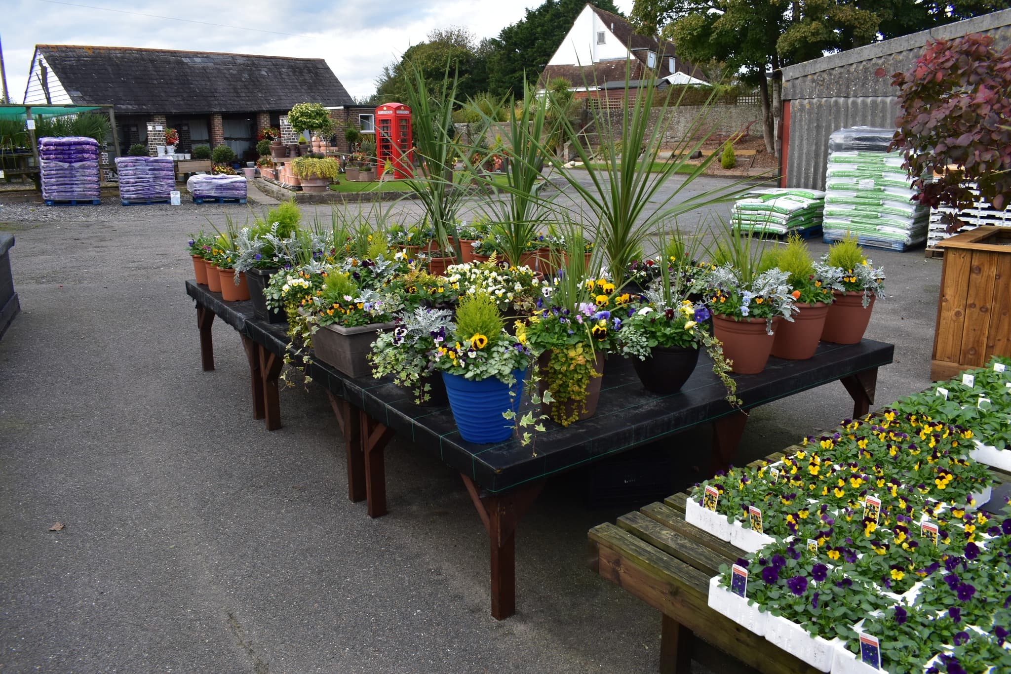 Colourful bedding plants and seasonal trays displayed outside the nursery